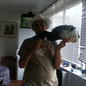 Donald sitting on my hand