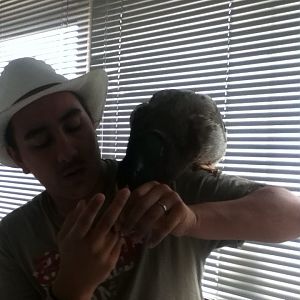 That hurts, has he not hear of the saying dont bite the hand that feeds you?