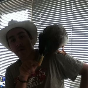 Playing with the finger