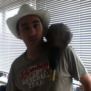 looking for my hands