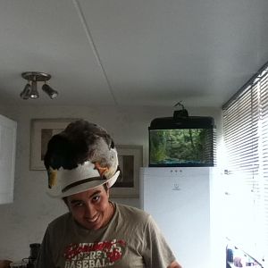 he seems to stick to one side and it tilts my head