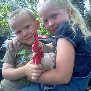 IMG_20120630_094020.jpg

Not afraid of the rooster!
I have tons of kids and chickens photos...