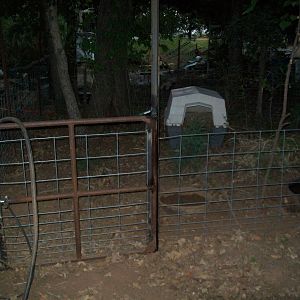 The newly completed piggy pen when the babies are gone this will Mom and Dads new home minus the dog house of course the boar would destroy it in minutes LOL