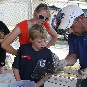 July 1, 2012  --Pullorum/Typhoid testing
