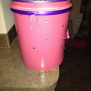 Bling nesting bucket! My  chickens actually lay in it!