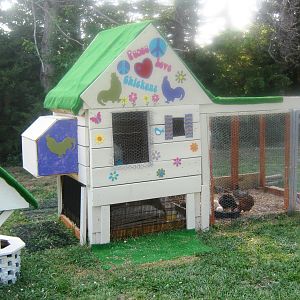 Peace Love and Chicken Coop almost finished July 2012