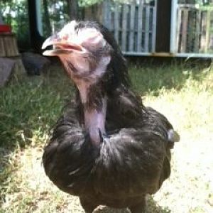 Agnes not feeling herself -