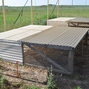 portable coops I used for the meat birds