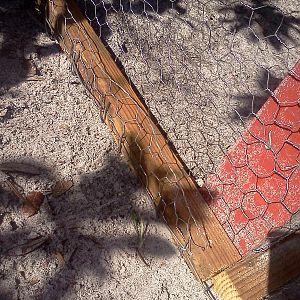 The Dog wire and chicken wire is bent under and up on the outside ground rails, pulled tight, then stapled together to the outside of the rail. This makes a completely wire enclosed pen impervious to critters trying to dig in or out!