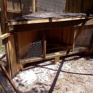 Day hutch in corner of Chicken Run. Nice cool and dry place for the girls to hang out when the suns straight up.