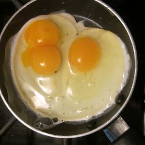 First eggs cracked- Double yolker!