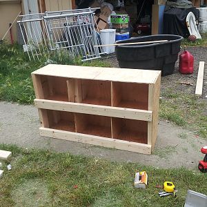 Before placement in the coop