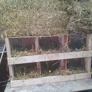 set up in the coop ready for the girls...