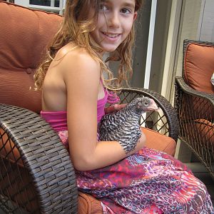 Stripe, our tamest with our daughter