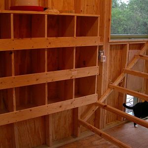 Nest boxes and stadium roosts in the big coop. My cat, Dylan, is checking out the new construction. He is standing by one of two chicken doors (going into two different runs) and the cleanout hatch.