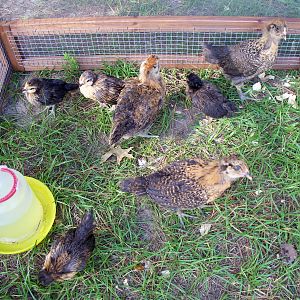 First day outside