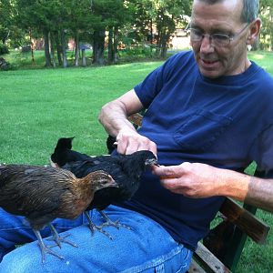 My husband getting sweet talked by Agnes and Fannie for a treat!