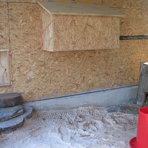 Don't know if they'll use it, but that door on the left goes into the coop.  The door is attached to a pulley system and can be raised and/or lowered from outside the setup.  That's a nesting box which is in the coop but can be accessed from the run. Again, don't know if the pheasants will use that?  We found a hollow tree and cut the "stump" which we're hoping she'll nest in or at least "escape" to ~  It's got a good thick layer of straw in the bottom.