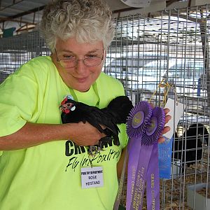 Rosie and pullet