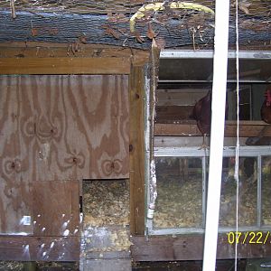 Coop with a window and entrance