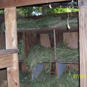 picture of inside 6 nesting boxes