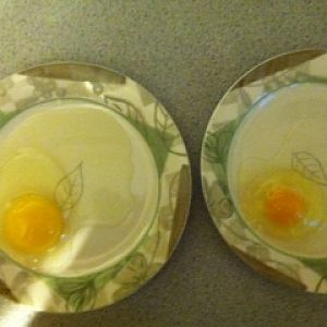 First egg!! (on the right)