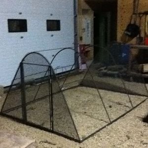 this is a chicken coop that I built at school it is eight by six and the hoops are ten foot long pieces of rebar. the base is free angle iron that was donated to our schools welding shop. The end of the coop is a light duty diamond metal mesh that was $65 for the entire sheet. The hoops are attached together by a 1/4 X 1/2 piece of metal. There are three of them spaced every 32 inches apart.