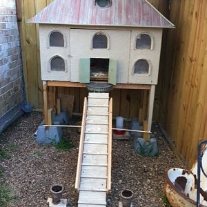 We found a vintage sink to install outside for proper cleanliness!  We bought a big shop vac to clean out the coop every other day!  We have 12 brooders!  They only sleep in one bay!  Joke is on us!  We over built!  We started with six bantams!  According to them and several post on this site, we have room for 24 chicks.  NO WAY!
