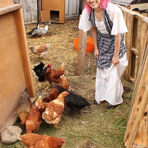 See the 2 scovies in the back?