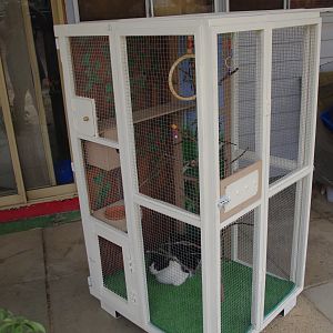 Aviary for Romeo and Juliet (budgies). Made from recycled materials. Rotating feeder, my design. Main aviary is an old style baby cot. Nesting box is a tea box. Has a total of 4 doors. All with artificial lawn on the bottom. Painted scene of gum trees on inside panels. 
Does have a roof (not pictured here).
Tiddles our cat thought she would test it first.
