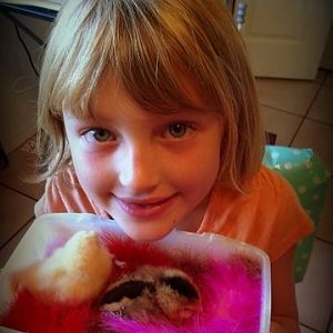 Chicks sleeping in tissue container filled with feather boa's.