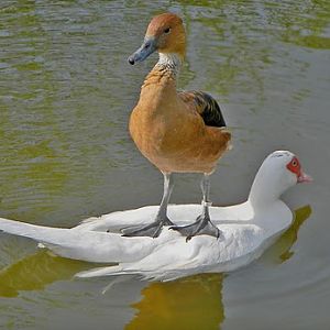 cute photo found at http://megmaguire.blogspot.com/2010_12_01_archive.html