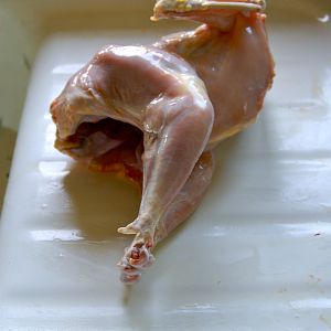 First skinned chicken. I find that the time it takes to skin is about the same as the time it takes to pluck, but others disagree. Skin as soon as possible after death, without a scald.