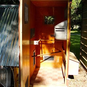 Inside the coop, 3 roosts and 5 nesting boxes. in the process of cleaning in these pictures, cedar chip shavings are always on the floor for our cornish rock rooster who cannot jump to roost.