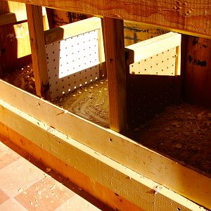 inside the coop looking at the nesting boxes