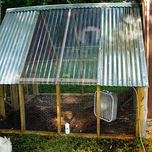 the run/pen with clear roofing for adequate sun (we built this before the chicks were bigger (duh) so we weren't sure if we they would be free range, but they are now.)
and yes, that is a fan..they have 2 fans along with misters (why the ground is wet), a lunch bag ice pack in the water, and save-a-chick regularly..SPOILED!!