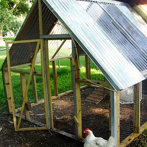 front of the pen/run, all of the run we designed and built.