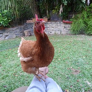 Jen balancing on my legs as I feed her pumpkin seeds.