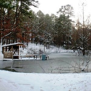 Our pond frozen once again :) when I was little I used to be able to walk out onto it, of course w/a rope tied to me and the dock! lol