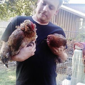 One of our recently adopted chickens and Rue!