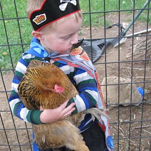 My son Loves the chickens!