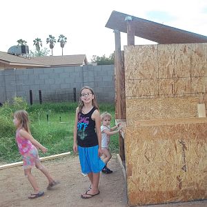 We're building our desert coop.