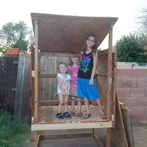 The kids are all excited to "help" build the chickens house.