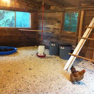 Roosts. 2 ladder roosts and two corner roosts.
