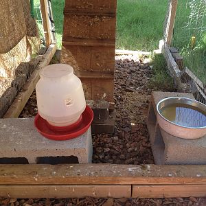 below the coop