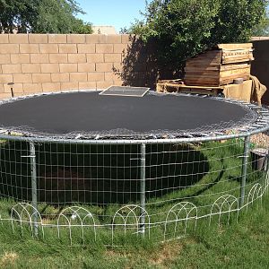 the enclosure, old trampoline i got for $40 on craigslist