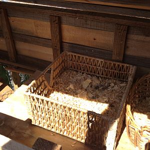 nesting boxes, ramp goes up from feeding area to coop.