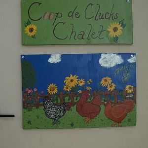 My painted coop signs!  Coop de Clucks Chalet and a painting of my girls, Mabel, Mildred & Pearl