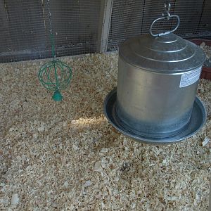 Treat bell & waterer