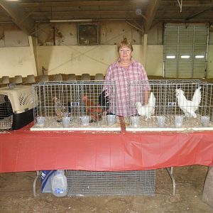 My birds, just getting set-up